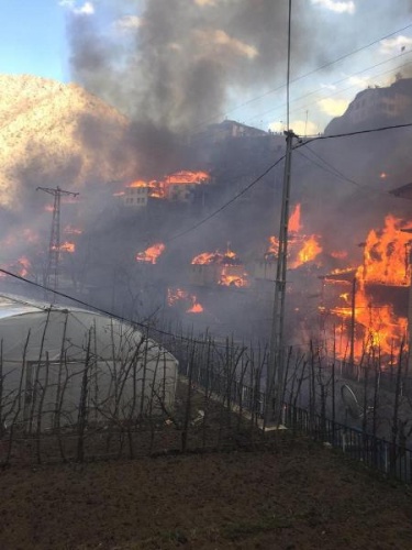 Artvin’de köyde yangın; 50’ye yakın ev alevlere teslim oldu 13