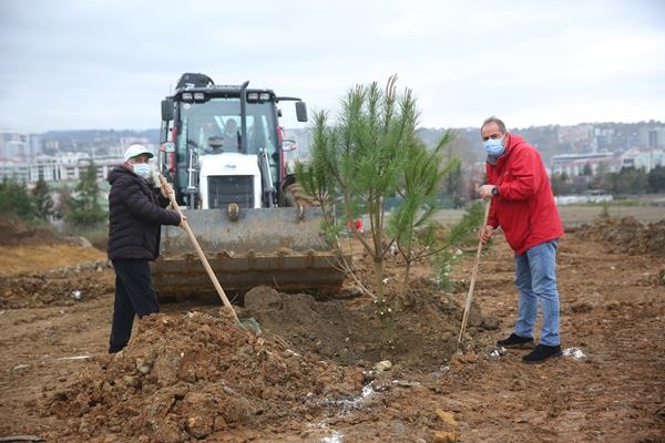 Yomra’ya kent ormanı! Yüzlerce ağaç diktiler 15