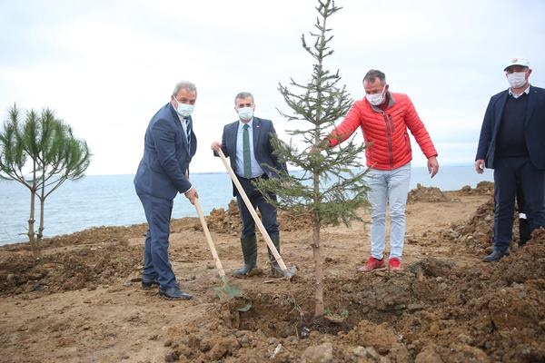 Yomra’ya kent ormanı! Yüzlerce ağaç diktiler 16