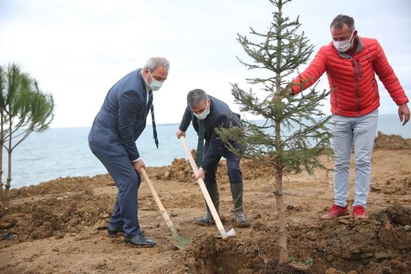 Yomra’ya kent ormanı! Yüzlerce ağaç diktiler 19