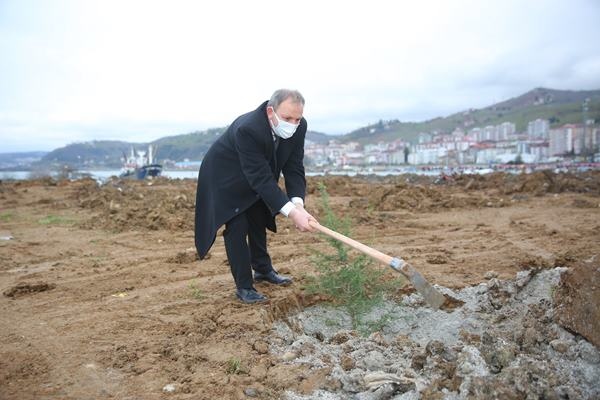 Yomra’ya kent ormanı! Yüzlerce ağaç diktiler 41