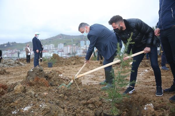 Yomra’ya kent ormanı! Yüzlerce ağaç diktiler 32