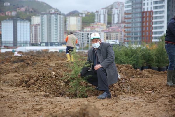 Yomra’ya kent ormanı! Yüzlerce ağaç diktiler 37