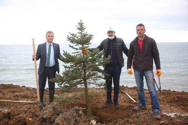 Yomra’ya kent ormanı! Yüzlerce ağaç diktiler 34