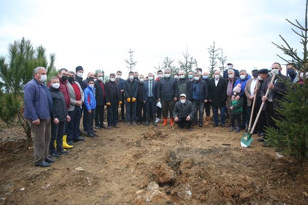 Yomra’ya kent ormanı! Yüzlerce ağaç diktiler 35