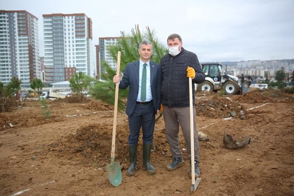 Yomra’ya kent ormanı! Yüzlerce ağaç diktiler 50