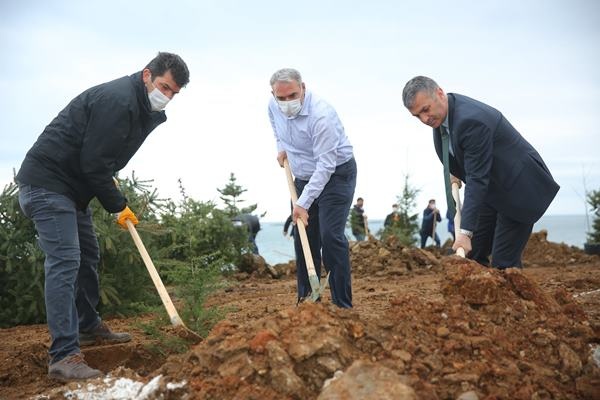 Yomra’ya kent ormanı! Yüzlerce ağaç diktiler 43