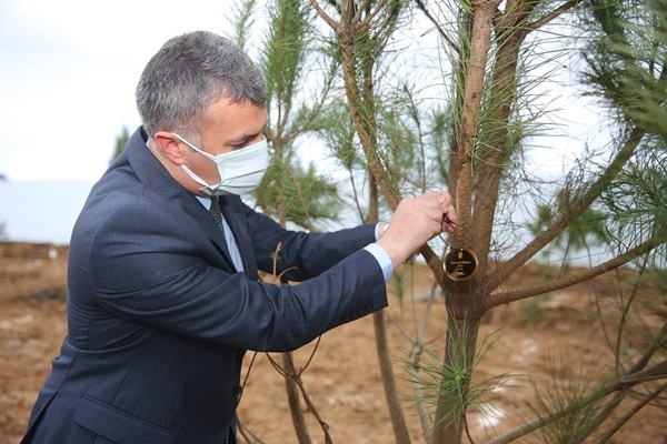 Yomra’ya kent ormanı! Yüzlerce ağaç diktiler 53