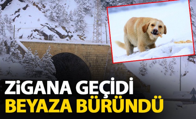 Trabzon'daki kar manzaraları büyüledi 1