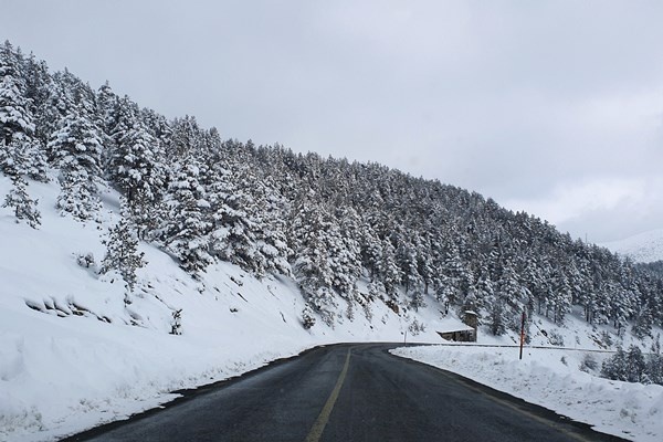 Zigana’da kayak sezonu tam bitti derken Mart karı ile yeniden başladı 6
