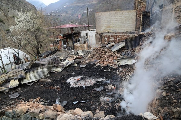 Artvin Ortaköy'deki yangının yaraları sarılıyor 8