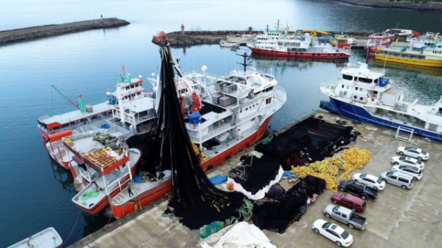 Karadenizli balıkçılar av sezonunu kapattı, ağlarını bakıma aldı 8