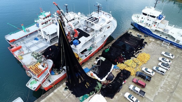 Karadenizli balıkçılar av sezonunu kapattı, ağlarını bakıma aldı 4