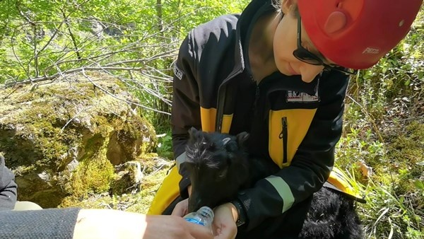 Artvin’de kayalıklardan düşen 2 aylık keçi yavrusu 24 saat sonra kurtarıldı 5