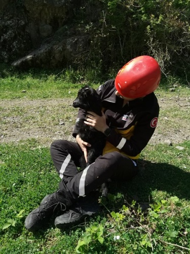 Artvin’de kayalıklardan düşen 2 aylık keçi yavrusu 24 saat sonra kurtarıldı 3