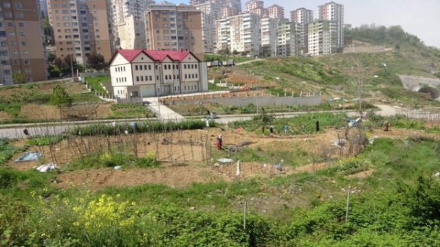Trabzon'da lüks siteler arasında köy hayatından kopmadılar 4