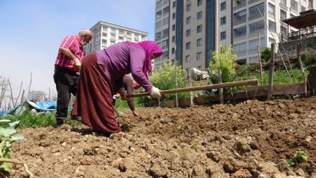 Trabzon'da lüks siteler arasında köy hayatından kopmadılar 5