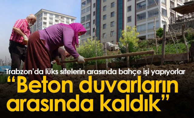 Trabzon'da lüks siteler arasında köy hayatından kopmadılar 1