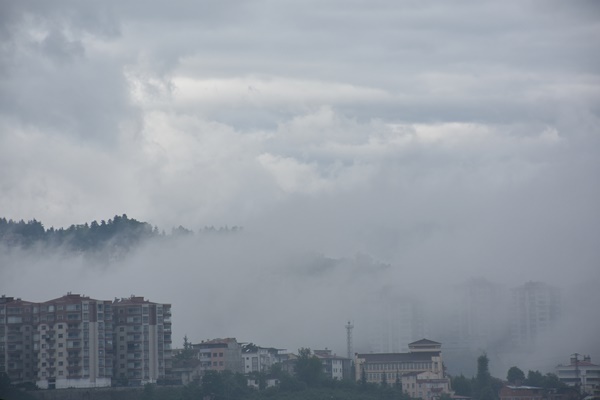 Trabzon'da sis etkili oldu 2