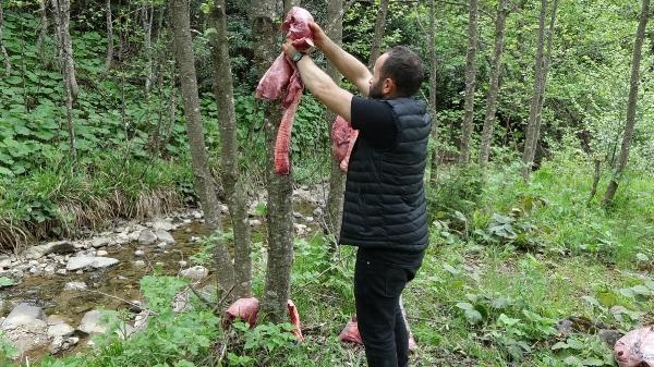 Trabzon'da ayılar köye inmesin diye bu yöntemi buldular 5