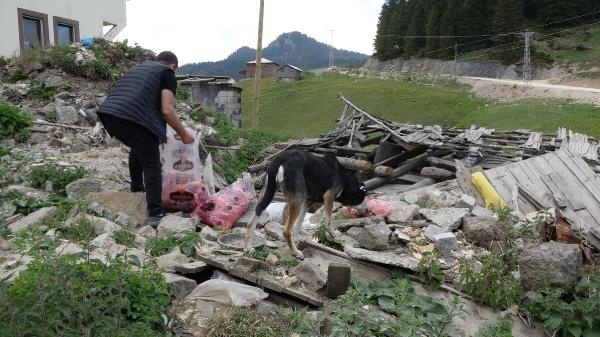 Trabzon'da ayılar köye inmesin diye bu yöntemi buldular 7