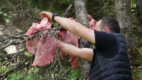 Trabzon'da ayılar köye inmesin diye bu yöntemi buldular 9
