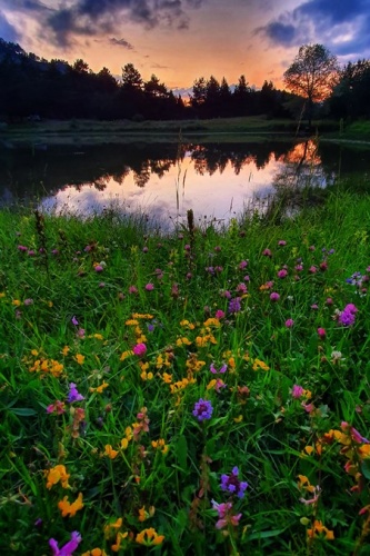 Altınpınar Limni Gölü güzelliğiyle büyülüyor 5