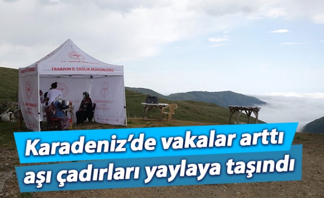 Karadeniz'de vakalar artınca aşı çadırları yaylaya taşındı. 1