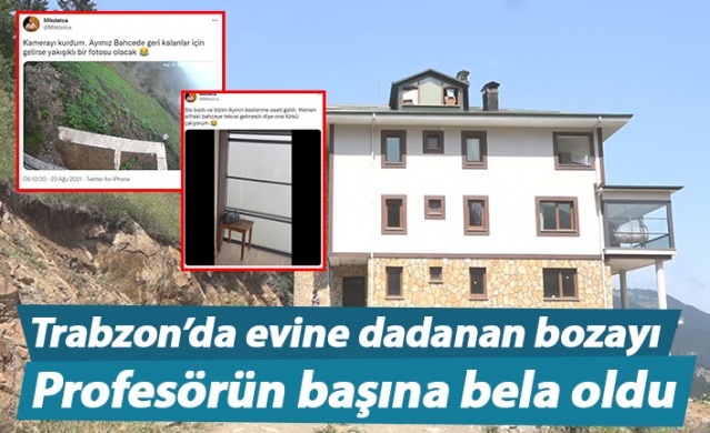 Trabzon'da evine dadanan bozayı Profesörün başına bela oldu 1