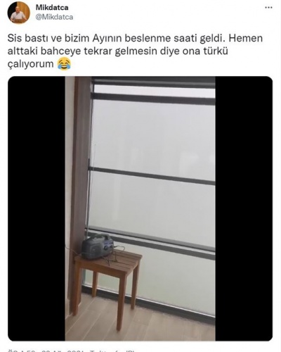 Trabzon'da evine dadanan bozayı Profesörün başına bela oldu 2