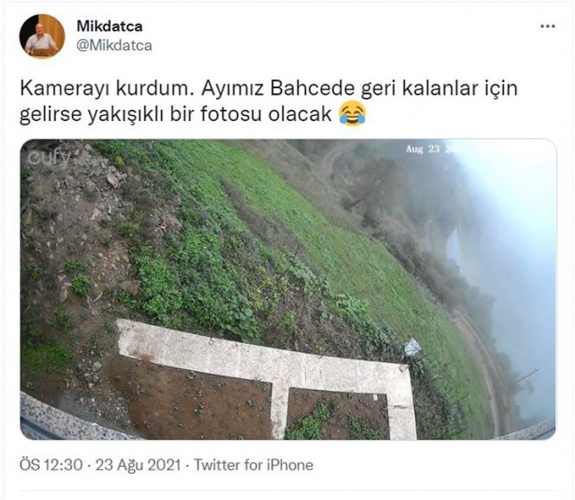 Trabzon'da evine dadanan bozayı Profesörün başına bela oldu 11