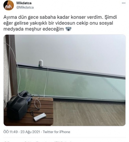 Trabzon'da evine dadanan bozayı Profesörün başına bela oldu 3