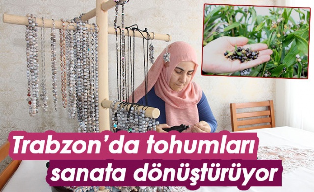 Trabzon'da tohumları sanata dönüştürüyor 1