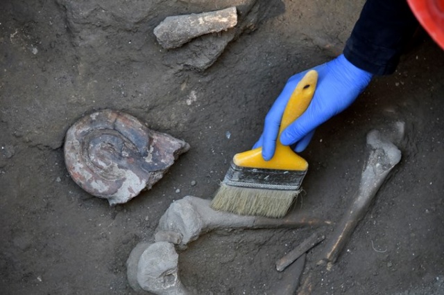 Karadeniz'deki kazılarda 5 bin yıllık tarih bulundu 3