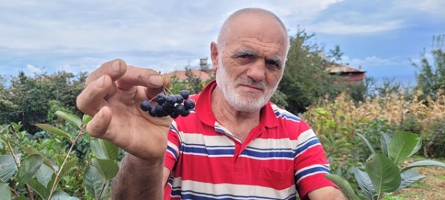 Karadeniz’in süper meyvesi yok satıyor 6