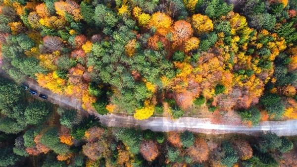 Borçka Karagöl'den sonbahar manzaraları 7
