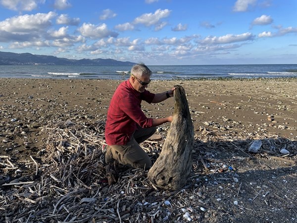 Karadeniz kıyısından topladığı ağaç parçalarını sanat eserine dönüştürüyor 7