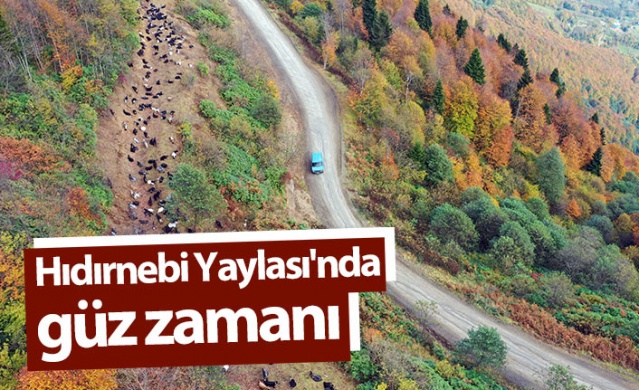 Trabzon'un 1600 rakımlı Hıdırnebi Yaylası'nda güz zamanı 1
