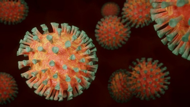 Bilim insanlarından koronavirüsü bitirecek keşif 12