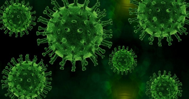 Bilim insanlarından koronavirüsü bitirecek keşif 13