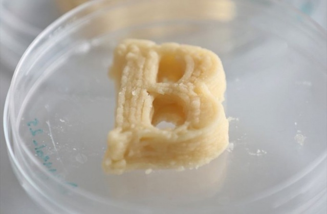 Türkiye'de 3D yazıcıyla gıda üretildi 7