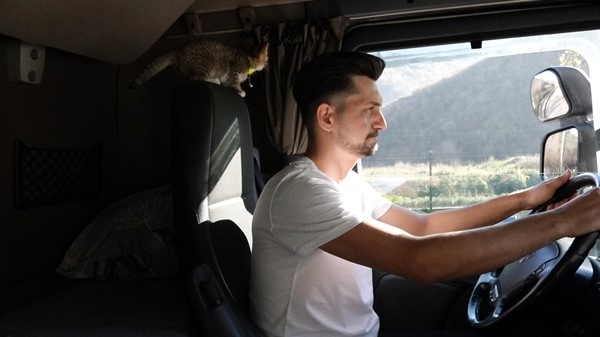 Trabzonlu TIR şoförünün yol arkadaşı 'kedi' 9