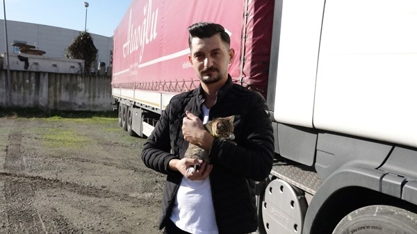 Trabzonlu TIR şoförünün yol arkadaşı 'kedi' 13