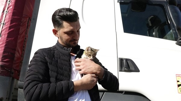 Trabzonlu TIR şoförünün yol arkadaşı 'kedi' 12
