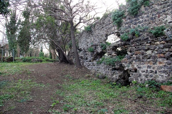 Giresun Adası’nda kazılar yeniden başlayacak 7