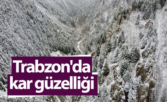 Trabzon'da kar güzelliği 1