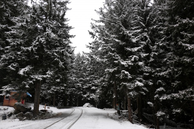 Trabzon'da kar güzelliği 7