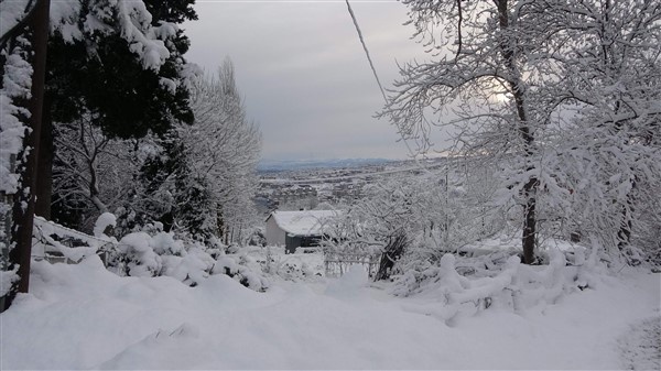 Trabzon'da kar sonrası zorluklar ve güzellikler böyle görüntülendi 5