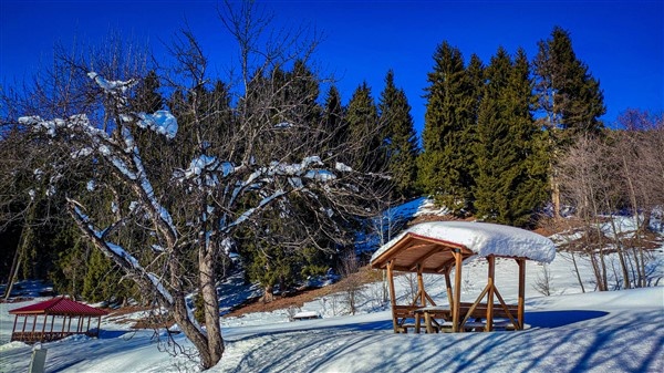 Karagöl'ün büyüleyici kış manzarası. Foto Galeri 6