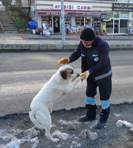 Trabzon'da temizliğe her sabah birlikte başlayıp birlikte bitiriyorlar. Foto Galeri 4